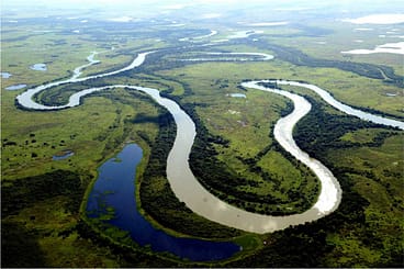 pantanal-a-maior-area-alagada-do-mundo